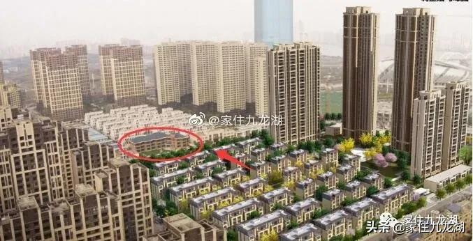 九龙湖幼儿园推荐,九龙湖幼儿园