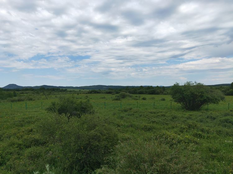 美丽的高岭塞罕坝,美丽的高岭朗诵