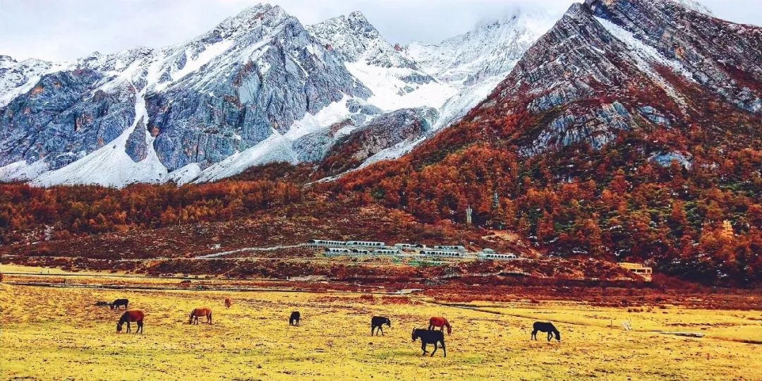 成都1-2天短途旅游推荐川西,五一从成都去川西的攻略