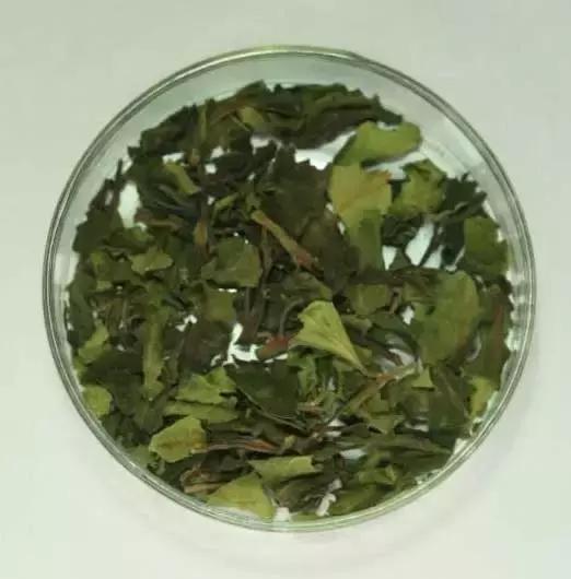 禁毒拒毒知识,十大禁毒知识大全