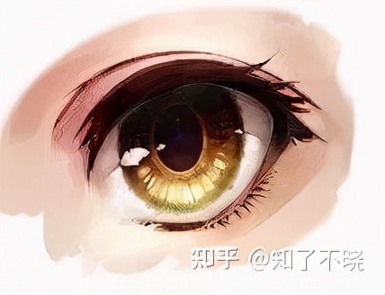 单眼皮大眼的画法教程,水灵灵大眼睛的画法你学会了吗