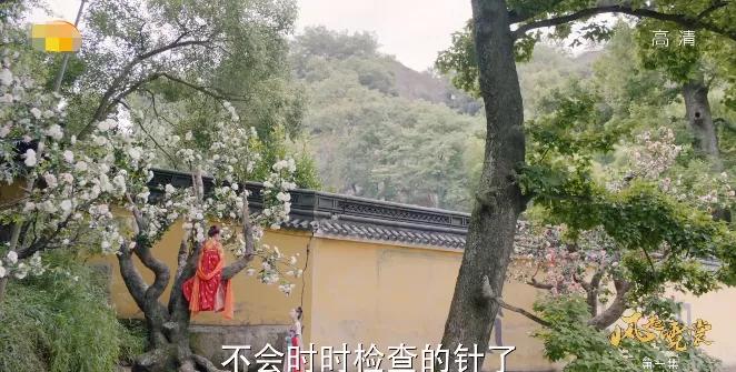 风起霓裳麦迪娜娜扎花絮,风起霓裳娜扎演的谁