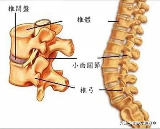 腰椎间盘突出骨质增生可以补钙吗,40岁腰椎间盘突出骨质增生怎么办