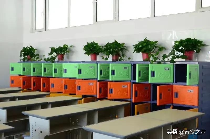 这所九年一贯制公办学校，今年秋季开始招生！附招生计划、学区范围、报名流程、咨询电话