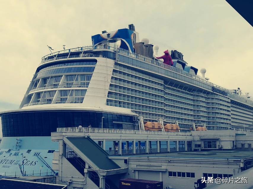 乘风破浪的姐们-上海日本豪华游轮六天五夜游攻略