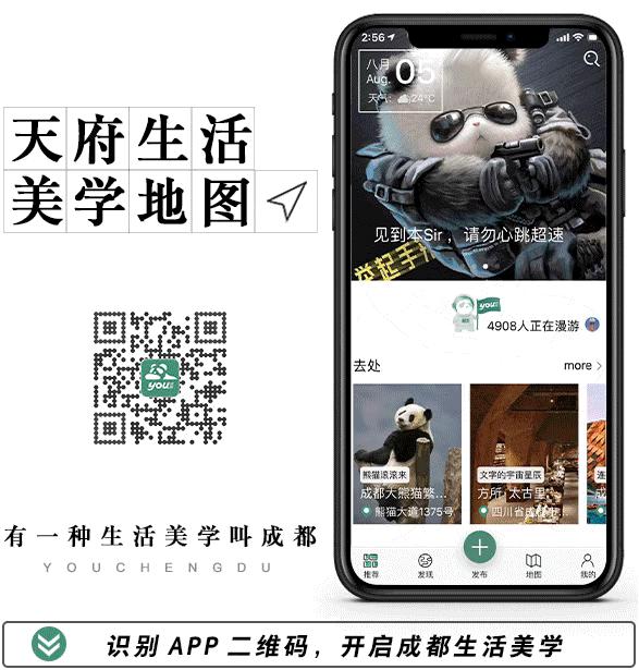 陆游春节的诗,陆游写的关于成都的诗