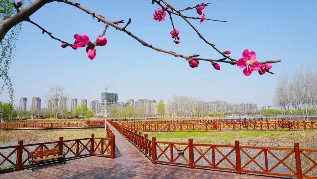 郑州免费游玩公园推荐,郑州新公园开放了吗