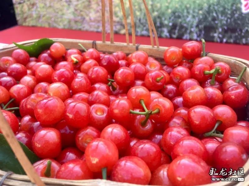 五一期间昆明周边旅游攻略,2022五一昆明周边