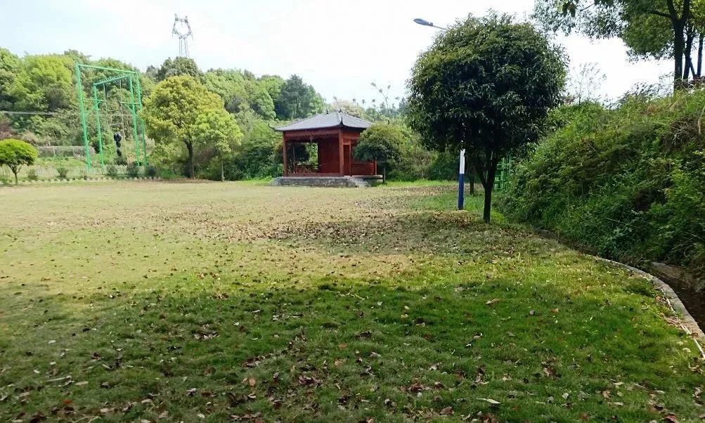 长沙团建烧烤岳麓区,长沙团建烧烤推荐地方芙蓉区