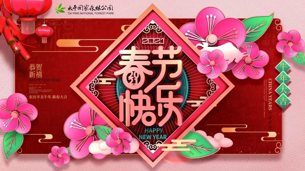 古城西安年味浓八方来客齐拜年,春节西安各景区年味十足