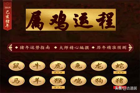 81年属鸡人2019年运势运程每月,李居明2019年属鸡运程