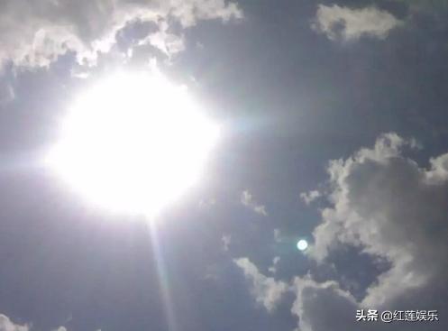 王鸥喝广西凉茶“雷公根”，冷到发抖，所以它有什么功效