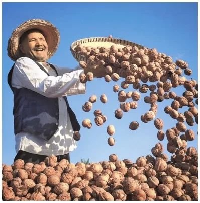 西方*华反**势力又在玩弄以谬论来操弄真相的政治把戏！看看今天的*疆新**，哪来的种族灭绝？