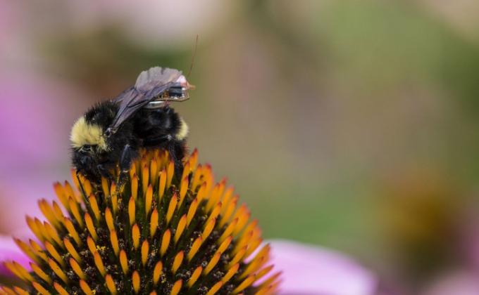 科学家把人改导致机器人,科学家把自己改导致机器人