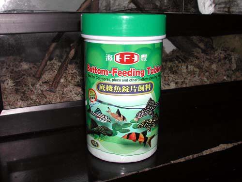 鼠鱼饲料推荐,鼠鱼推荐放什么植物