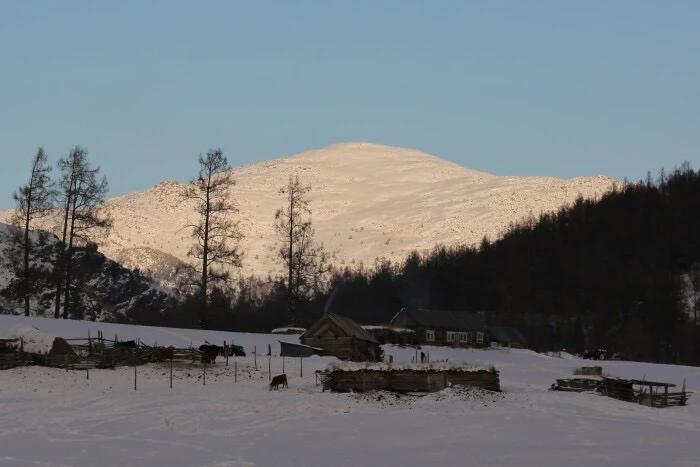 不会受任何人摆布,不会屈服任何人的星座