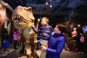 赤峰最新文旅项目,中国文旅新闻资讯