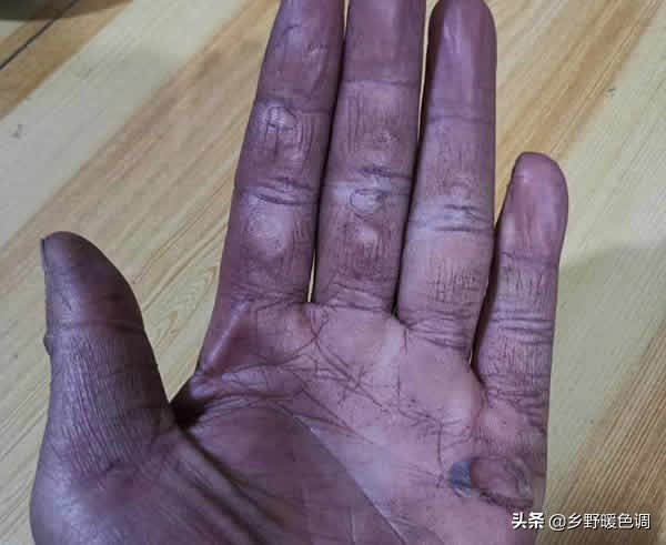 创业种葡萄一亩成本多少,农业种植致富项目葡萄