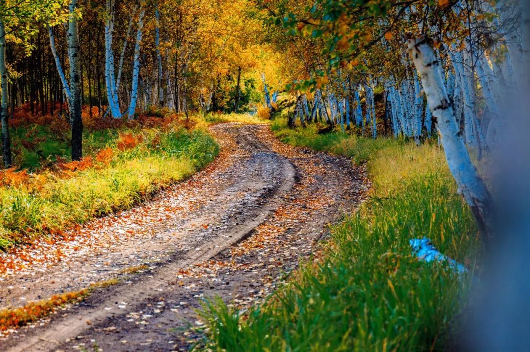 最值得去的10个国外旅行地,国内最值得去的二十个城市