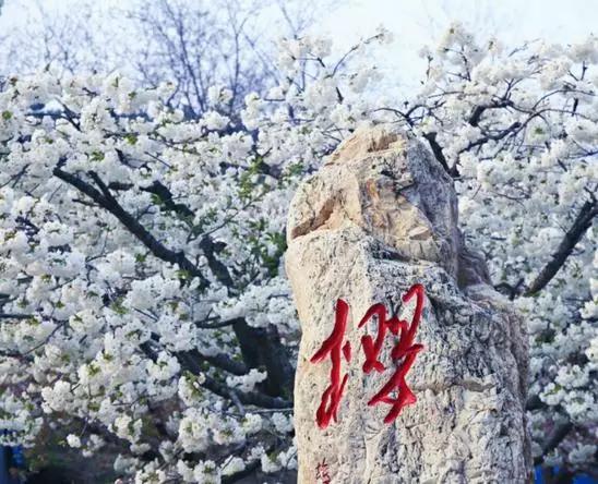 辽宁旅游景点推荐3天自由行,辽宁学生旅游景点推荐