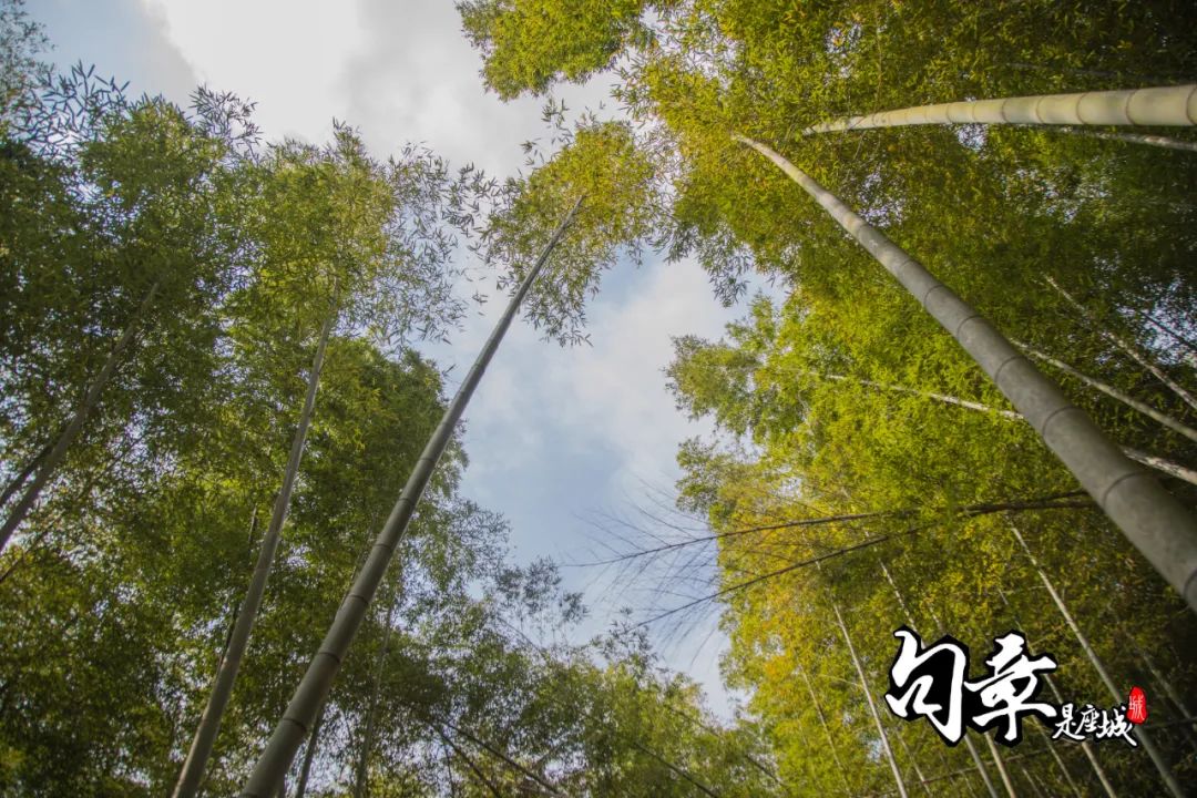 这个初冬,这个冬天来这里邂逅冰雪文化