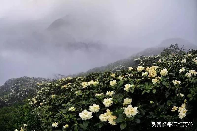 中国云南哪里好看,云南的云彩为什么好看