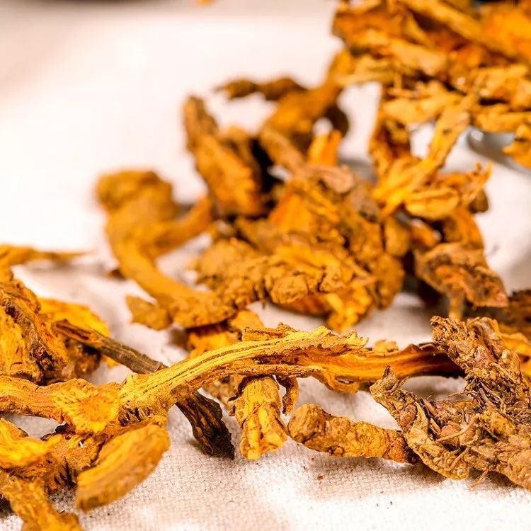 康养之城,康养之城图