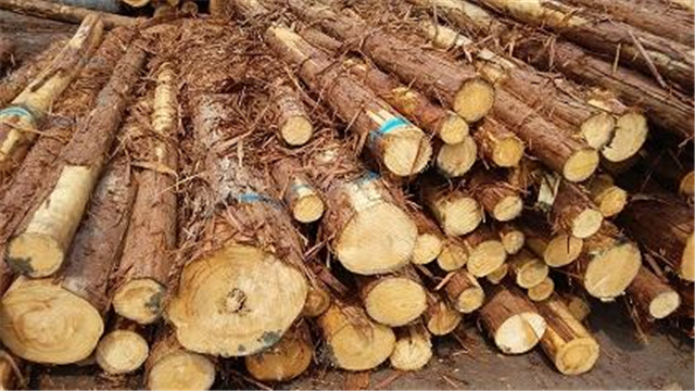 北京木材微波干燥厂家,江苏微波木材干燥设备公司