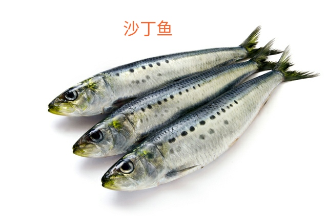 想要宝宝聪明多吃富含dha和蛋白质,孩子吃什么鱼适合补充dha