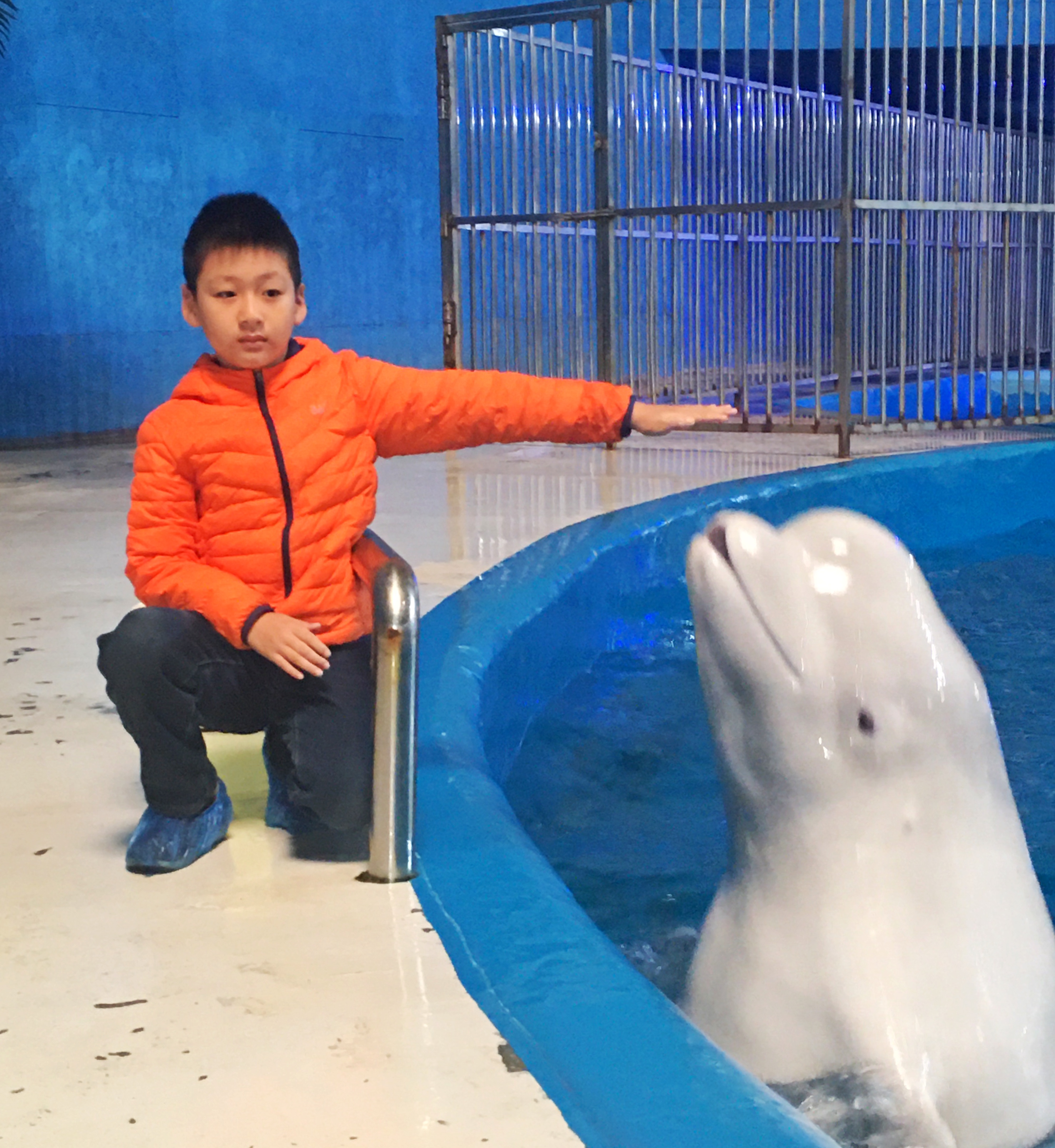 带娃玩的海洋极地世界,欢乐周末带娃时光