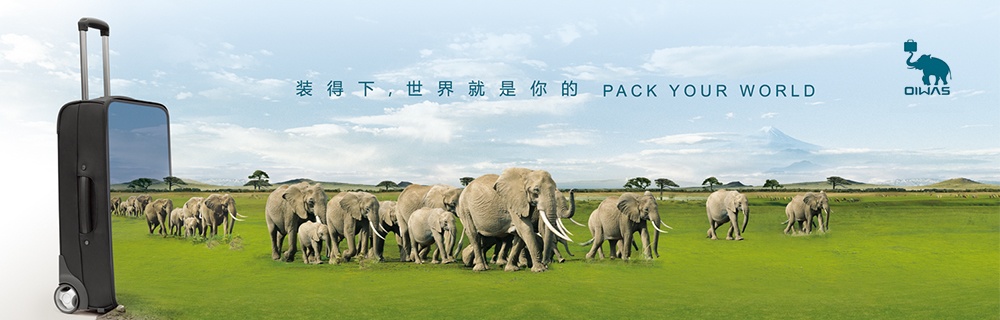 爱华仕箱包市场营销策划创意设计,爱华仕拉杆箱营销策划