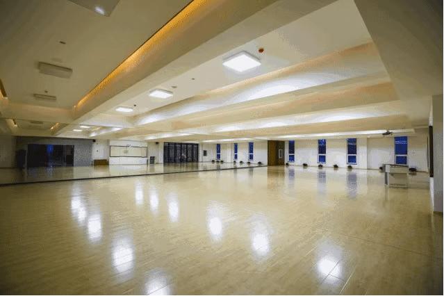 沈阳城市学院荣获世界大学生啦啦操锦标赛世界双人花球第七名