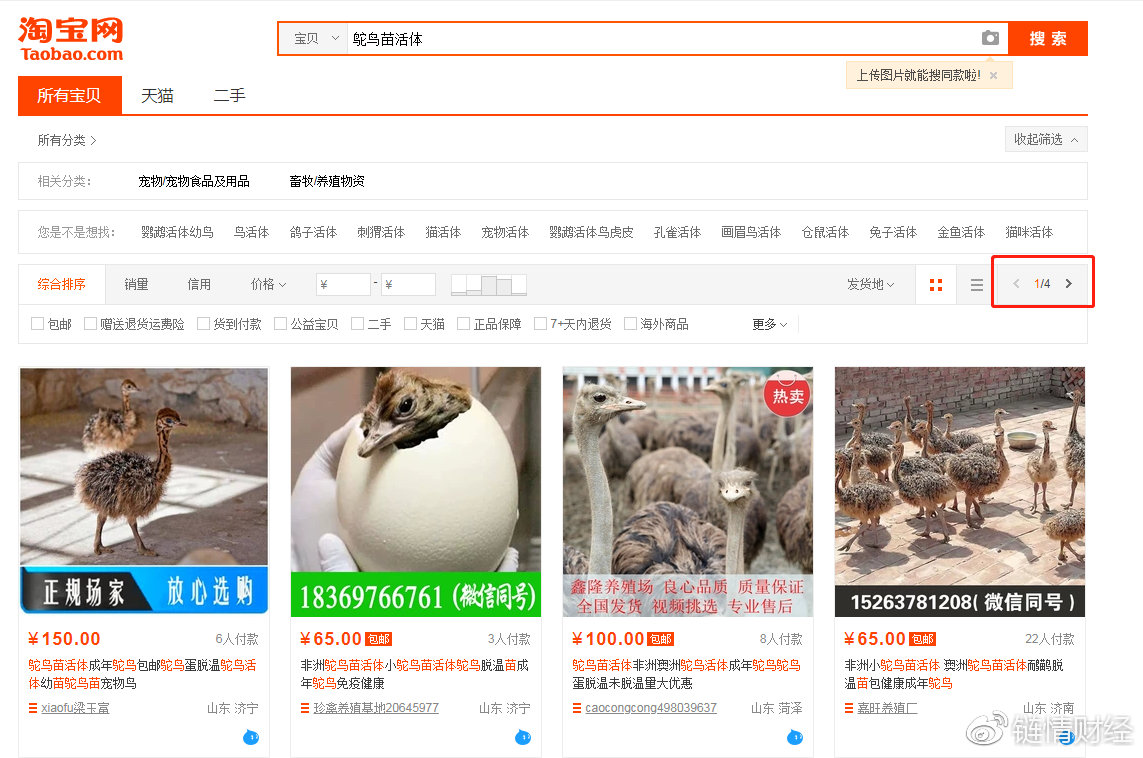 当下的经济形势怎样才能赚钱,寒冬经济下如何赚钱