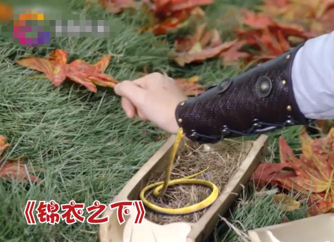 中国电视剧特效退化史：AI换头没《西游记》逼真，投资4亿效果5毛