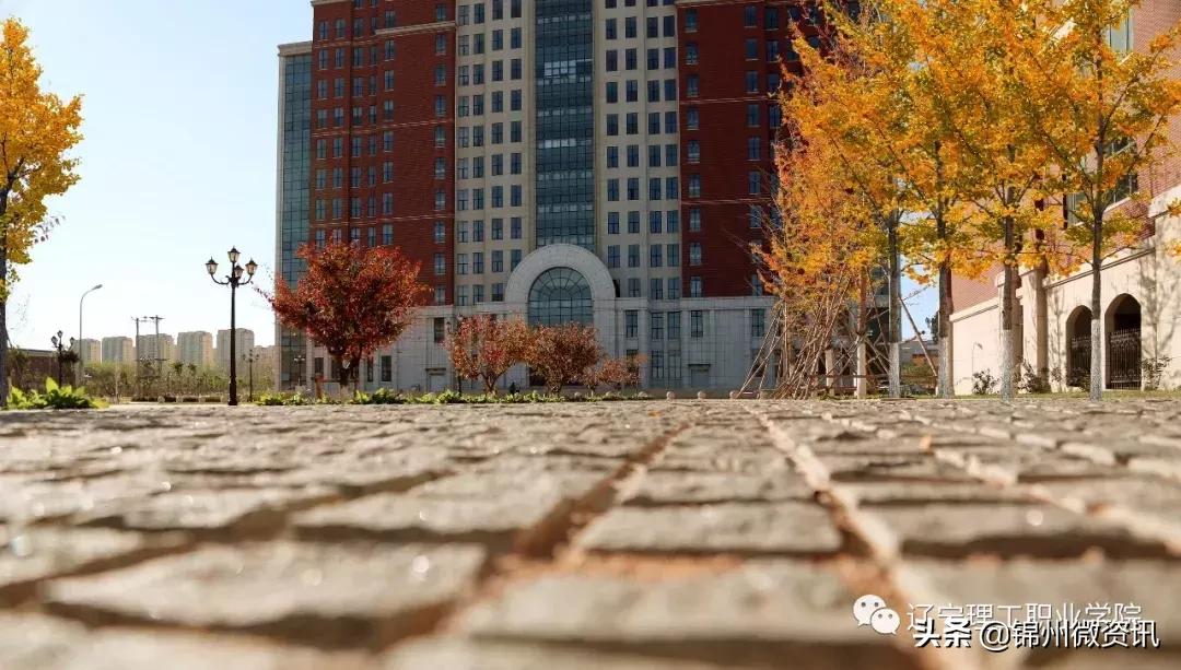 锦州辽宁理工职业学院能进吗,锦州市高职扩招政策