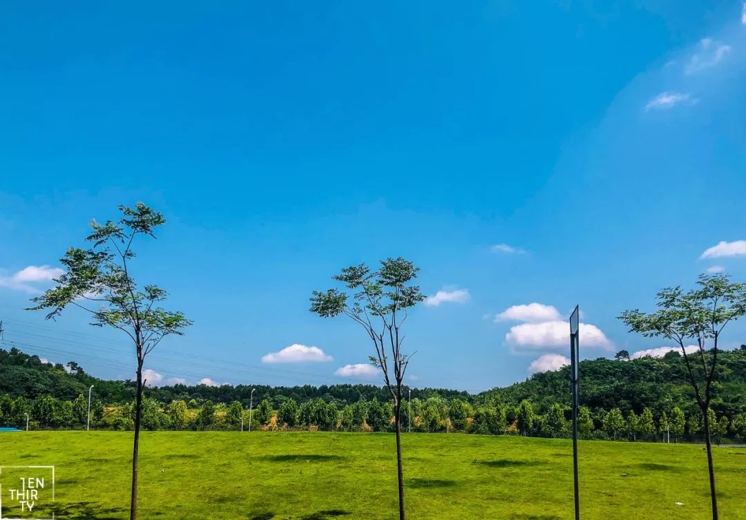 武汉人民医院光谷东院怎么样,武汉同济大学附属医院光谷医院