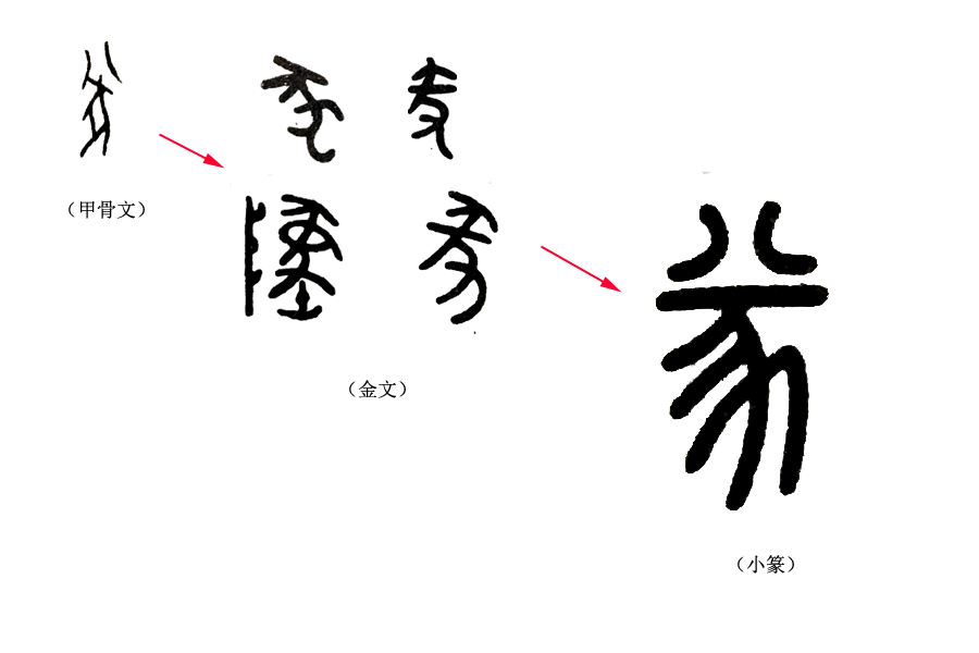 《说文解字》第119课：猪为何是“六畜”之一，看这个汉字