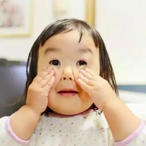 谢飞机随身携带的小绿包,谢飞机表情包视频