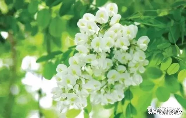 父亲去世时我不在身边,爸爸去世后我很少梦见他