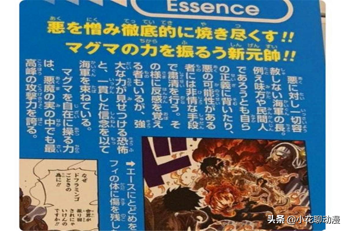 海贼王赤犬硬刚实力排行,海贼王尾田回复粉丝赤犬实力