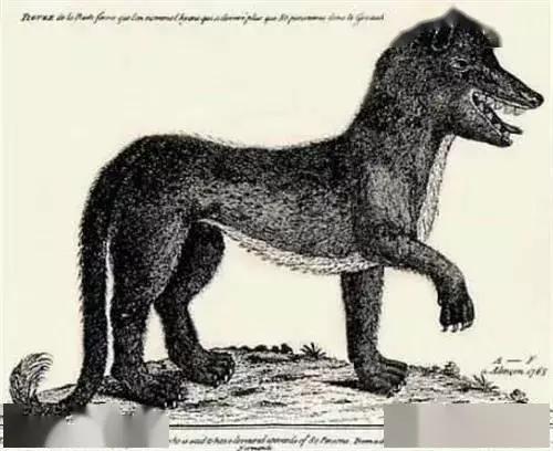 史上最真实狼人事件,狼人被银弹打死的电影