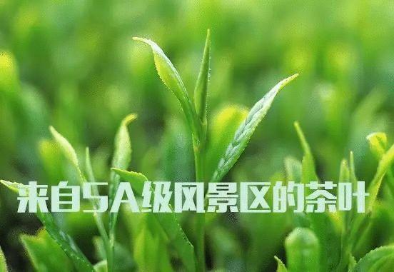 品牌营销策划方案怎么做,线下品牌营销策划方案