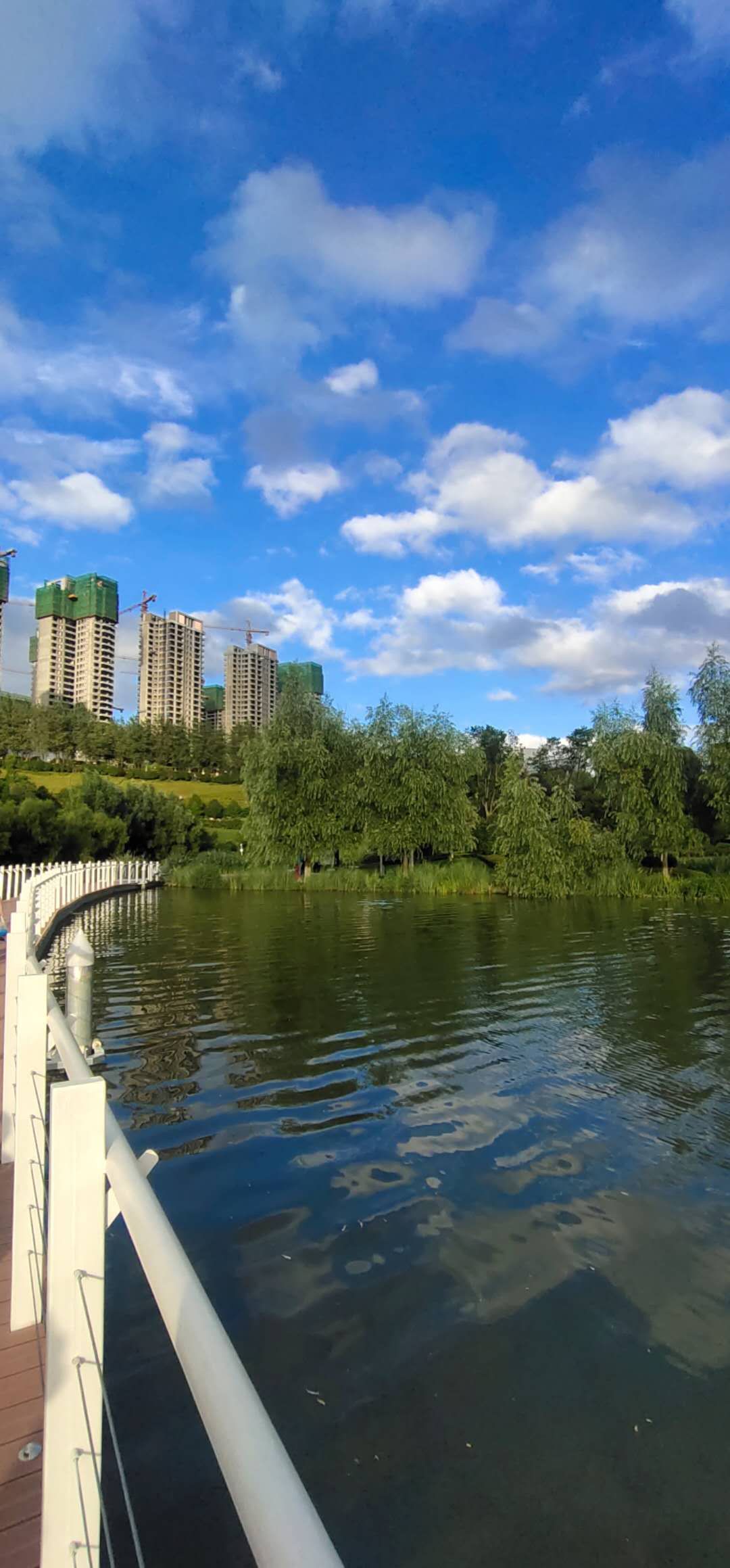 安利的三年感受,第一批做安利的人都怎么了