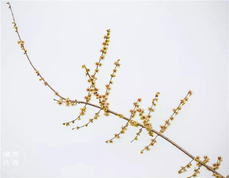 最近郑州有关好消息,郑州东区好消息