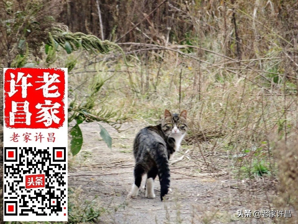 一个人行走在神秘的古建筑里,一个人行走在神秘的古建筑