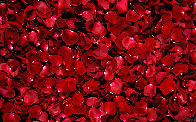 独辟蹊径才能走向成功,独辟蹊径2020