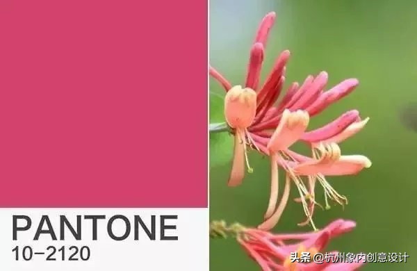 pantone2023流行色对冲色,2024pantone流行色色号