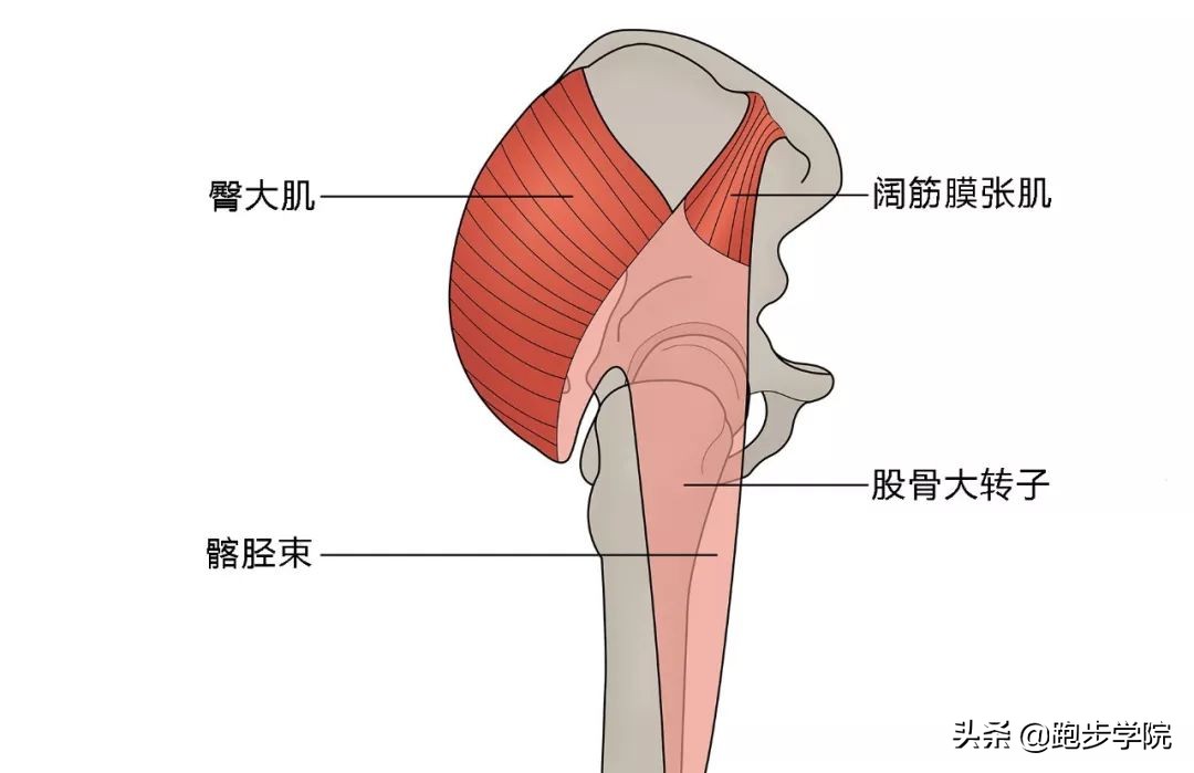 运动肩膀咔咔响是怎么回事,运动时关节咔咔响怎么解决