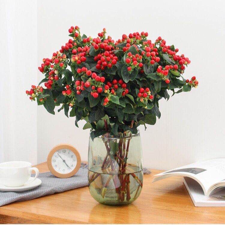 怒放的生命原唱完整版,怒放的生命