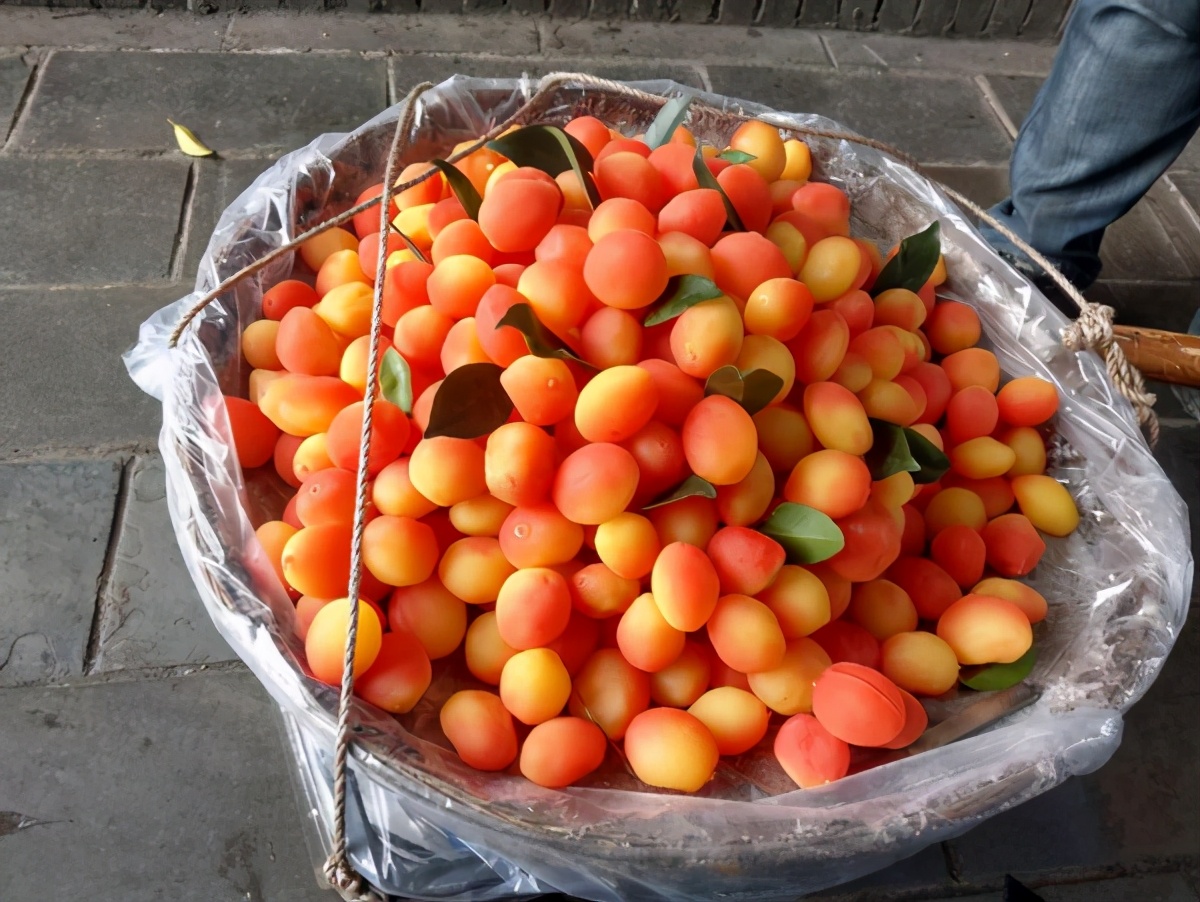 十大造假水果排行,三种造假水果都不能买